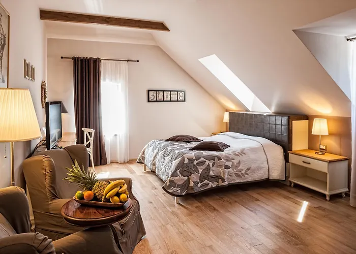 Dvor Tacen Bed and Breakfast