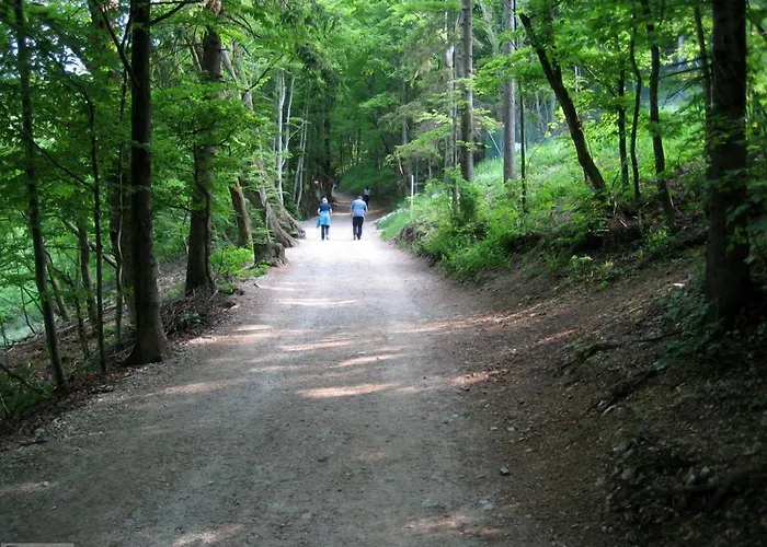 Dvor Tacen Λιουμπλιάνα