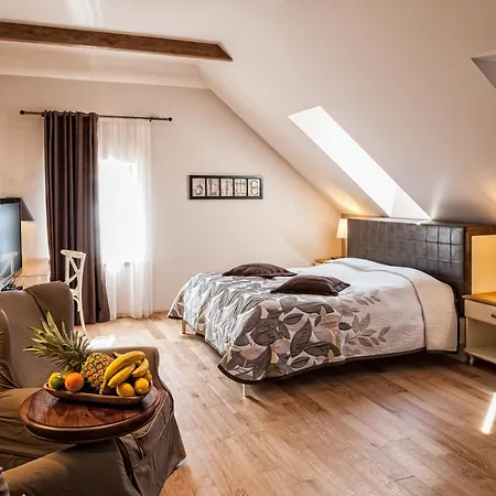 Dvor Tacen Bed and Breakfast