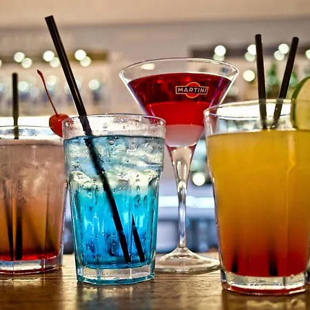 Oda ve Kahvaltı Dvor Tacen 4*