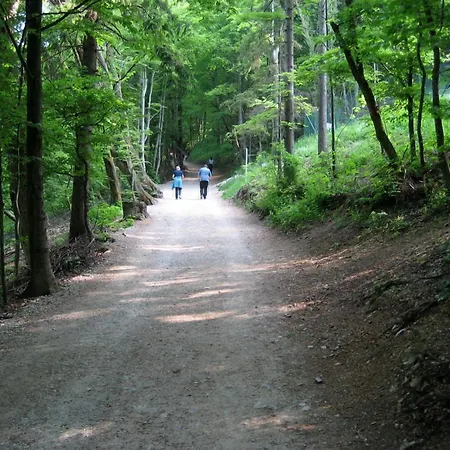 Dvor Tacen Λιουμπλιάνα