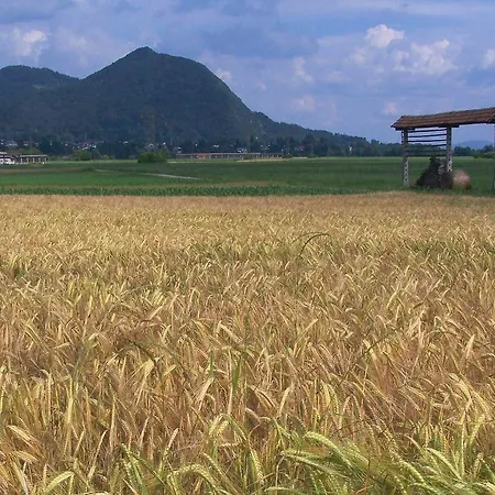 Dvor Tacen 4* Ljubljana