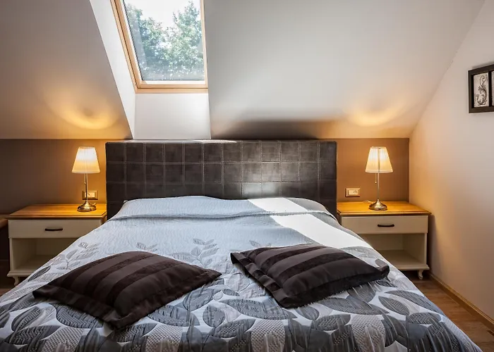 Frühstückspension Dvor Tacen 4*