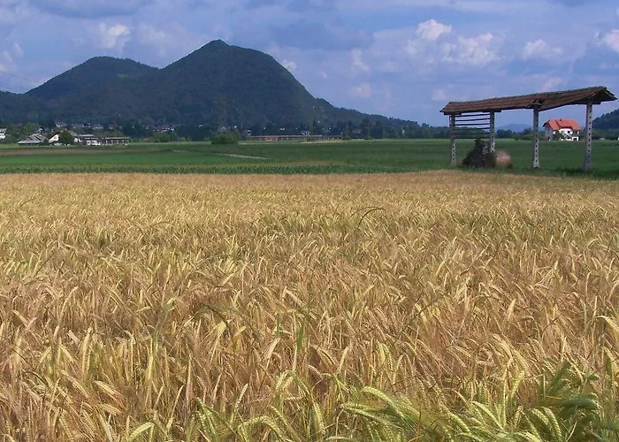 Dvor Tacen 4* Laibach